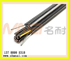 <b>單/雙鋼絲行車手柄控制電纜RVV2G 16*1.5 14*1.5 12*1</b>