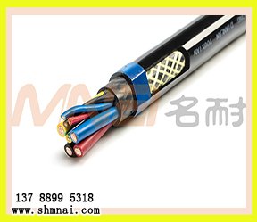 垃圾吊電纜|斗輪機(jī)電纜聚氨酯雙護(hù)套3*6+4*2.5